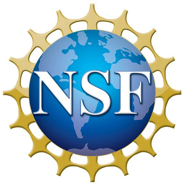 596px-NSF_logo